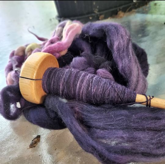 a top whorl drop spindle full of a dark purple single wool yarn